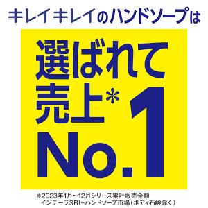 キレイキレイ 薬用液体ハンドソープ 詰替800...の詳細画像3