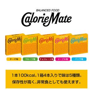 (セール)カロリーメイト ブロック チーズ味 ...の詳細画像3