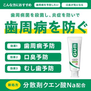 歯磨き粉 ガム デンタルペースト 120g 1...の詳細画像1