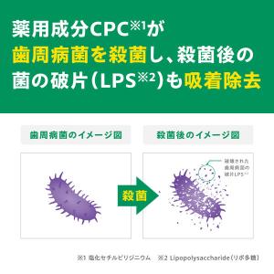 歯磨き粉 ガム デンタルペースト 120g 1...の詳細画像3
