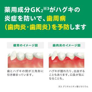 歯磨き粉 ガム デンタルペースト 120g 1...の詳細画像4