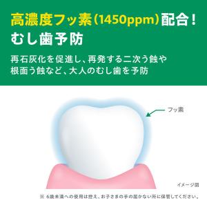 歯磨き粉 ガム デンタルペースト 120g 1...の詳細画像5