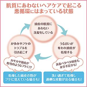 ミノン薬用ヘアシャンプー 詰替え 380ml ...の詳細画像4