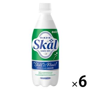 南日本酪農 スコールホワイト 500ml 1セット（6本）