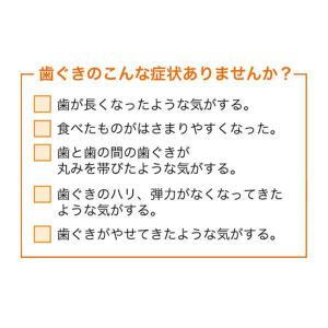 アセス 60g 佐藤製薬 アセス 医薬品 歯磨...の詳細画像5