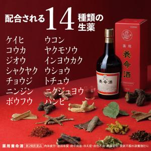 薬用養命酒 1000ml 養命酒製造 薬用酒 ...の詳細画像4
