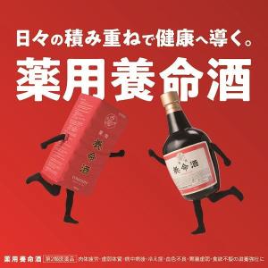 薬用養命酒 1000ml 養命酒製造 薬用酒 ...の詳細画像5