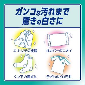 アタック 高活性バイオパワー 詰め替え 750...の詳細画像3