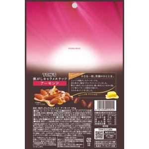 東洋ナッツ TON’S 焦がしキャラメルナッツ...の詳細画像1
