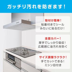 フィルたん パッと貼るだけ レンジフードフィル...の詳細画像3