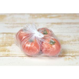 鮮度保持ポリ袋 半透明 マチ付き 厚さ0.00...の詳細画像4