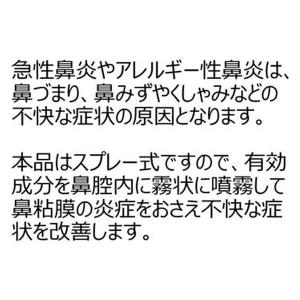 ビタトレール 鼻炎スプレー 30ml 3本セッ...の詳細画像3