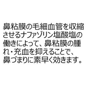 ビタトレール 鼻炎スプレー 30ml 3本セッ...の詳細画像4
