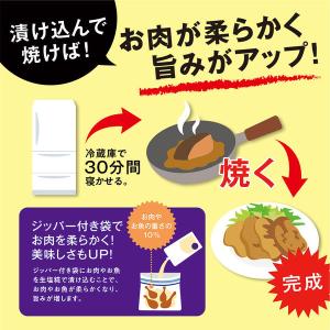 マルコメ 生塩糀200g 1セット(2袋) 塩こうじの詳細画像4