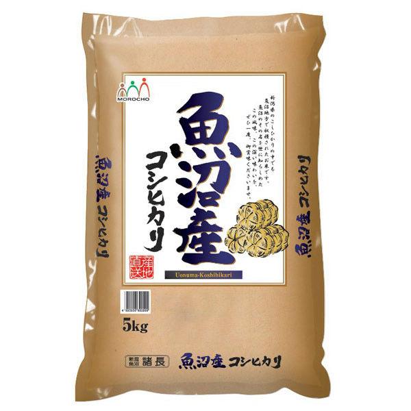 新潟県魚沼産 コシヒカリ 5kg 【精白米】 令和5年産 米 お米
