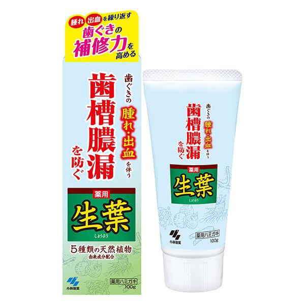 生葉（しょうよう） 歯槽膿漏を防ぐ 薬用ハミガキ ハーブミント味 100ｇ 小林製薬 歯磨き粉