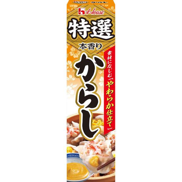 ハウス食品 42g 特選本香りからし 1個 【おでん、焼きそば】ハウス