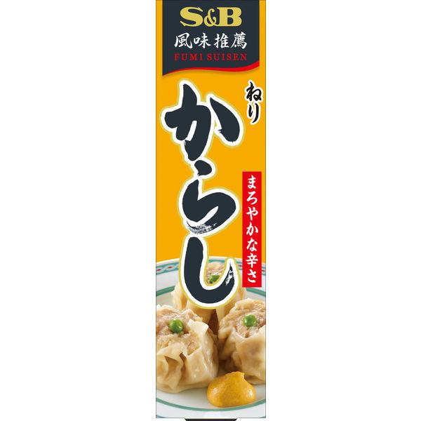エスビー食品 S＆B 風味推薦 ねりからし 43g 1本