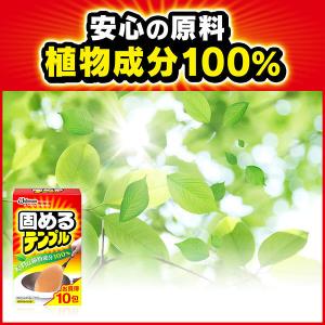 廃油処理剤 固めるテンプル 18g 油 オイル...の詳細画像3
