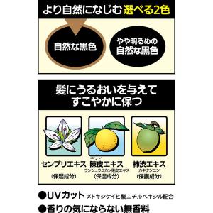 トップシェード 増毛感覚スプレー スピーディー...の詳細画像2