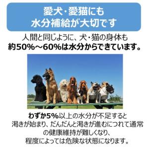 ペットスエット 犬猫用 水分補給 2L 国産 ...の詳細画像1