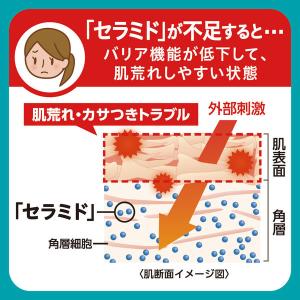 Curel(キュレル) 入浴剤 詰め替え 36...の詳細画像3