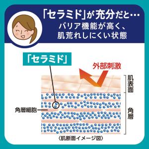 Curel(キュレル) 入浴剤 詰め替え 36...の詳細画像4