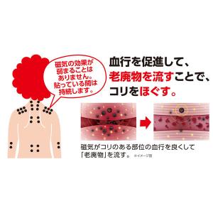 ピップ エレキバン130 磁束密度130ミリテ...の詳細画像5