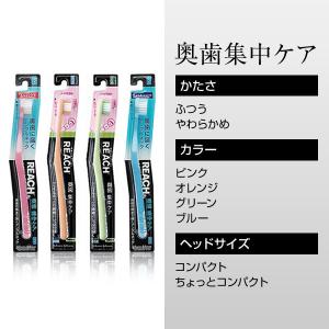 リーチ 奥歯集中ケア コンパクト ふつう 12...の詳細画像2