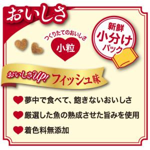 ビューティープロ 2ヶ月から12ヶ月までの子猫...の詳細画像5
