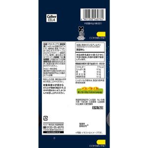 堅あげポテトうすしお味 ミニ 15g×4連 食...の詳細画像1