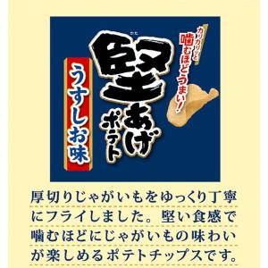 堅あげポテトうすしお味 ミニ 15g×4連 食...の詳細画像2