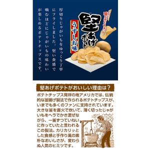 堅あげポテトうすしお味 ミニ 15g×4連 食...の詳細画像3