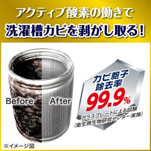 カビキラー 洗濯槽クリーナー 洗濯槽カビキラー...の詳細画像1