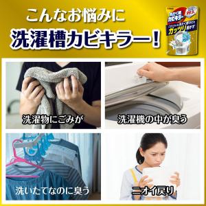 カビキラー 洗濯槽クリーナー 洗濯槽カビキラー...の詳細画像2