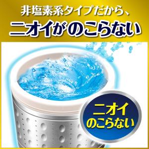 カビキラー 洗濯槽クリーナー 洗濯槽カビキラー...の詳細画像3