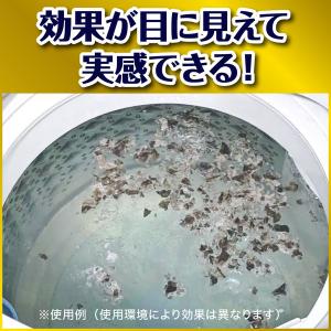 カビキラー 洗濯槽クリーナー 洗濯槽カビキラー...の詳細画像4