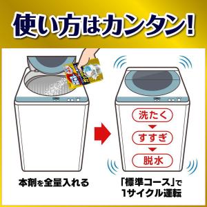 カビキラー 洗濯槽クリーナー 洗濯槽カビキラー...の詳細画像5