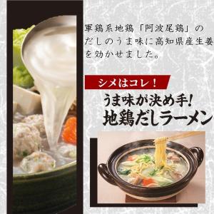 (セール)ヤマキ 地鶏だし塩 龍馬鍋つゆ 70...の詳細画像3
