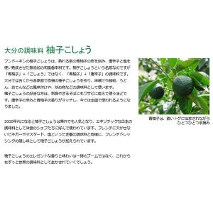 フンドーキン醤油 青柚子こしょう 790016の詳細画像2
