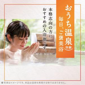 入浴剤 温泉の素 温素 白華の湯 本体 600...の詳細画像1