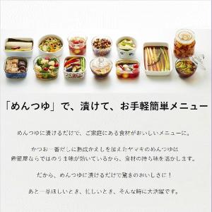 (セール)ヤマキ めんつゆ500ml×2本の詳細画像5