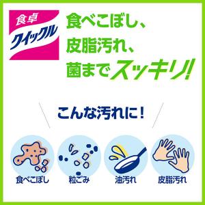 食卓クイックルスプレー ほのかな緑茶の香り 詰...の詳細画像1