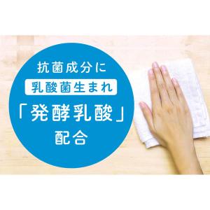 クイックル ジョアン 除菌スプレー 微香性 詰...の詳細画像3