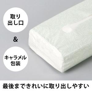 ティッシュペーパー 200組(8個入)ソフトパ...の詳細画像3