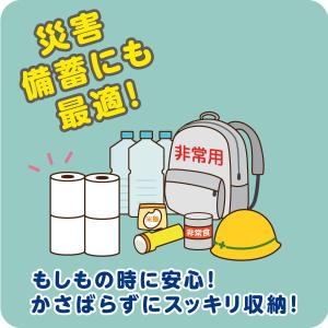 トイレットペーパー 4倍巻き 4ロール パルプ...の詳細画像5