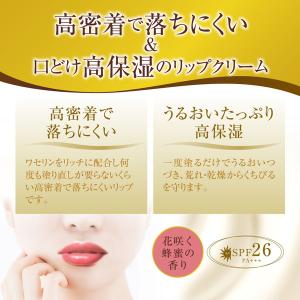 メンソレータム プレミアムメルティクリームリッ...の詳細画像3
