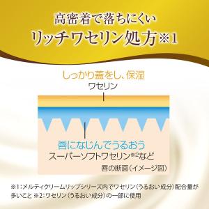 メンソレータム プレミアムメルティクリームリッ...の詳細画像4