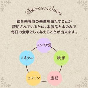 グランデリ カリカリ仕立て 低脂肪 彩り野菜セ...の詳細画像4