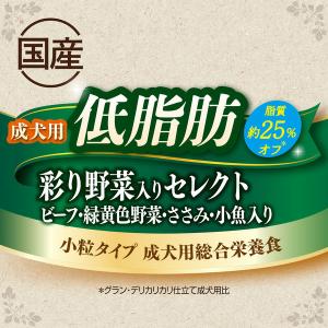 グランデリ カリカリ仕立て 低脂肪 彩り野菜セ...の詳細画像5